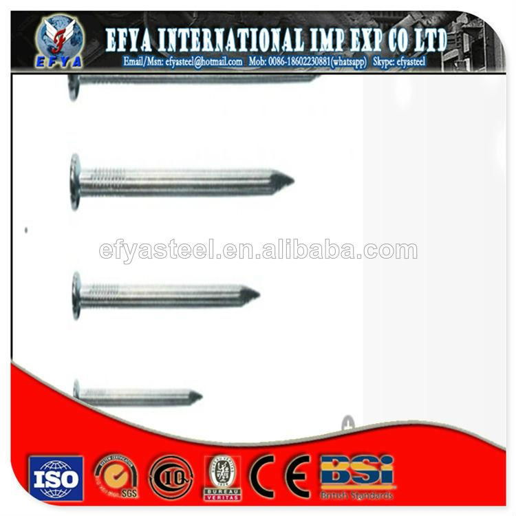 round head stainless steel nail