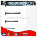 round head stainless steel nail