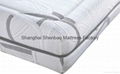 Zipper Washable  Memory Foam Mattress with Pocket Spring 2