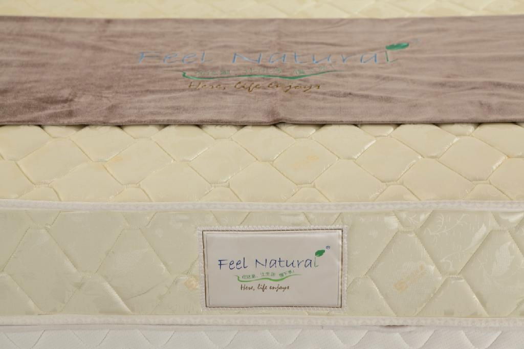 Best Selling Cheap continuous spring home mattress 3