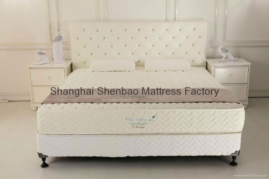 Economy Continuous Spring Household Mattress