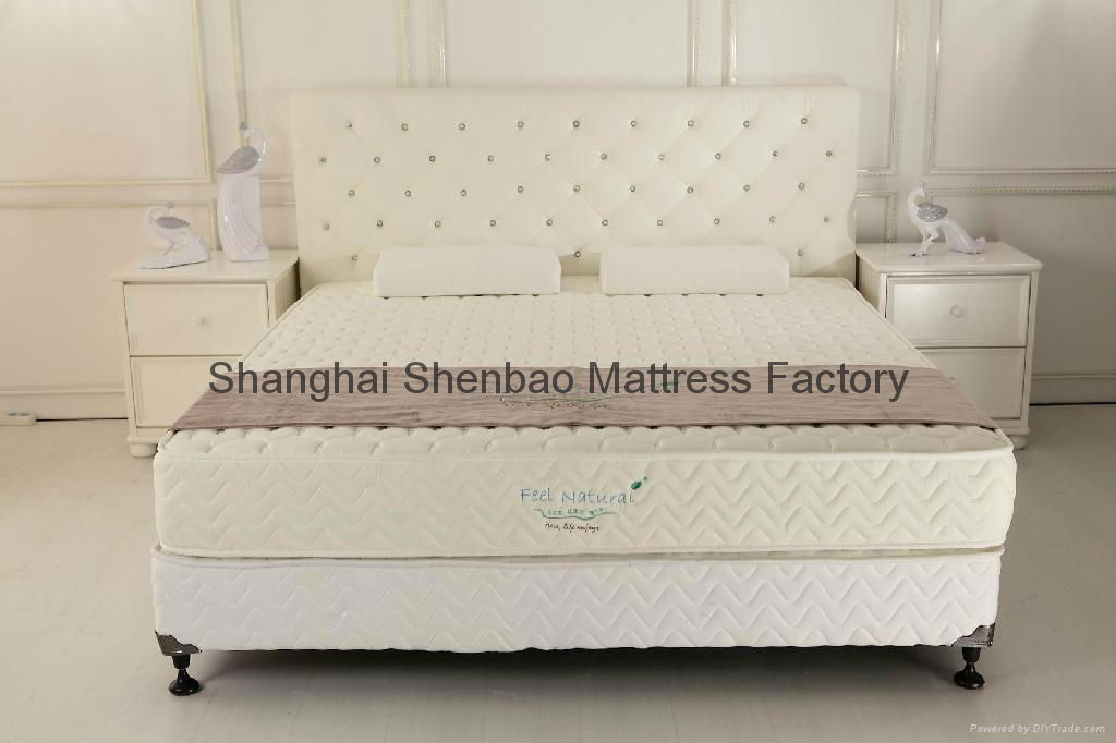 Economy Continuous Spring Household Mattress HFYZ02 Shenbao (China