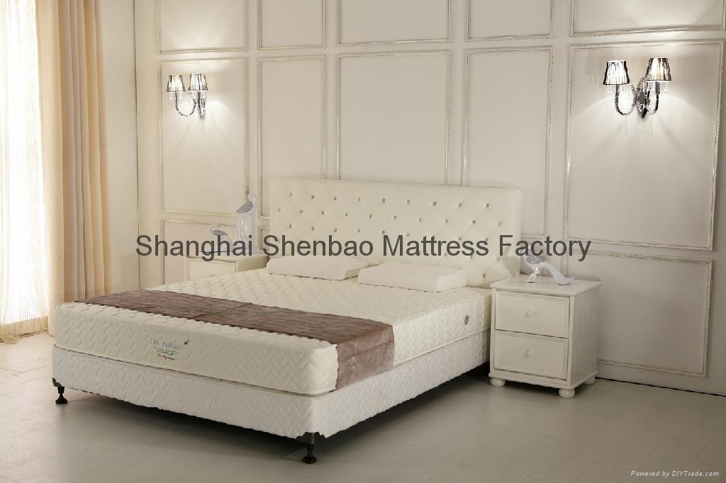 Economy Continuous Spring Household Mattress 2