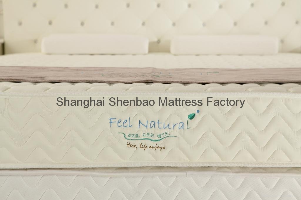 Economy Continuous Spring Household Mattress 3
