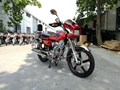 Syrian Iraq CG125 CG150 motorcycle 5