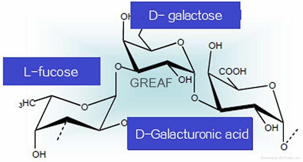 Biosaccharide gum-1/CAS 178463-23-5 4