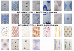 Ceramic Wall Tile 200x300