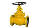 High Standard Cast steel API Globe Valve