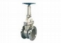 API 603 Corresion Resistant Gate Valves 1