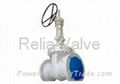 Flexible Wedge Cast Steel API Gate Valves 1