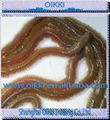 Lugworm, excellent bait,live bait 1