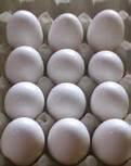 EGGS FROM THAILAND