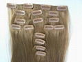 Clip-in hair extension 1
