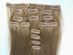 Clip-in hair extension