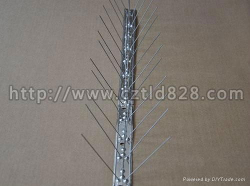 high quality bird spikes 4