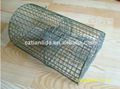 Mouse Trap Cage Galvanized Rat Trap Cage