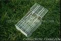 Mouse Trap Cage Galvanized Rat Trap Cage 2