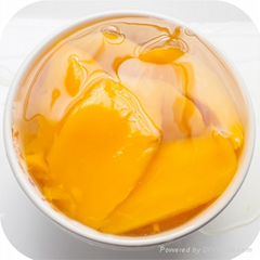 CANNED MANGO IN SYRUP  (HP: +84 1655 827 745)