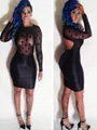 Dot Flock Mesh Panel Bandage Bodycon