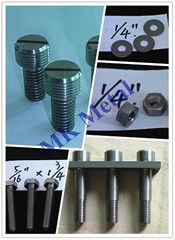 Titanium fastener China Manufacturer