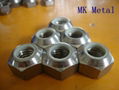 Titanium Nut China Manufacturer