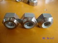 Titanium Nut China Manufacturer 2