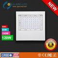 led canopy light 3