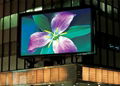 P10 outdoor LED Display high brightness outdoor led display 3
