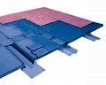  Steel Cable Management Raised Floor (low FFH type) 3