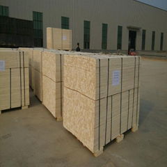 Korea market Poplar LVL plywood 