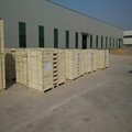 Korea market Poplar LVL plywood  2