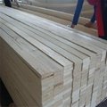 Poplar LVL plywood for packing and door