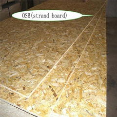 construction material OSB1 OSB2 OSB3