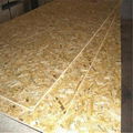 construction material OSB1 OSB2 OSB3 3