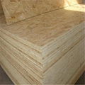 cheap OSB board plywood 2