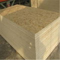 cheap OSB board 1