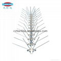 Stainless Steel Anti Pigeon Bird Spikes