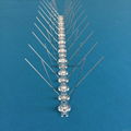 Plastic Bird Spike,Anti Bird Spike,Stainless Steel Bird Spike