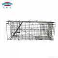 Collapsible Galvanized Cat Squirrel