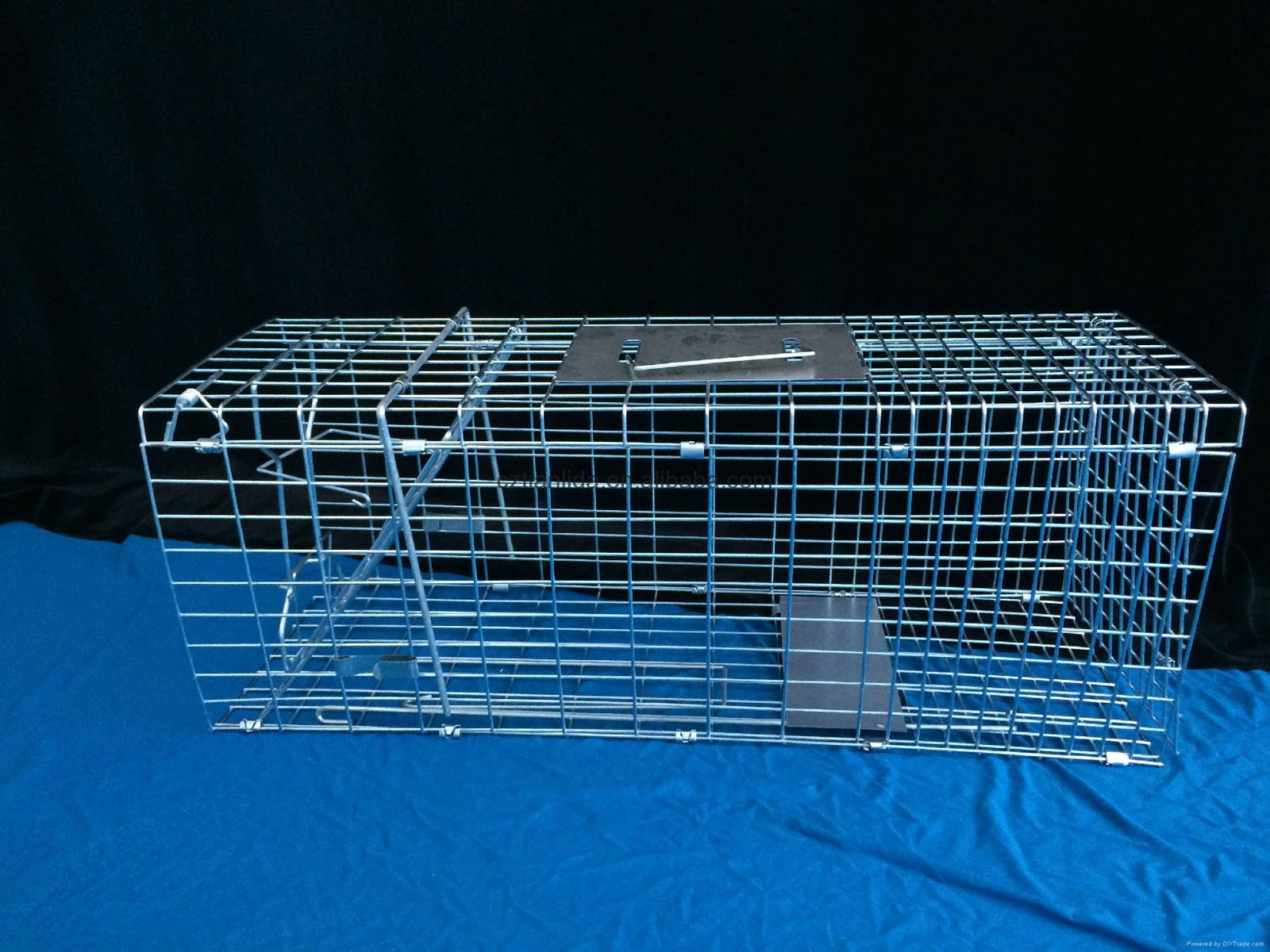 Collapsible Galvanized Cat Squirrel Raccoon Trap Cage 2