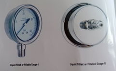 Liquid Filled or Fillable Gauge (St St internal)