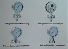 Diaphragm Chemical Seal Pressure Gauge
