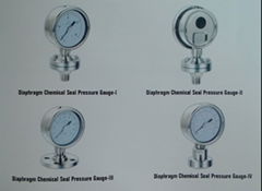 Diaphragm Chemical Seal Pressure Gauge 