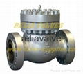 Swing check valve 1