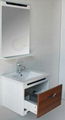 wallmounted vanity cabinet 4