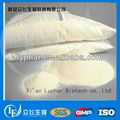 Bulk Whey Protein powder