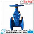 F4 Resilient Ductile Iron Gate Valve DN40-DN300