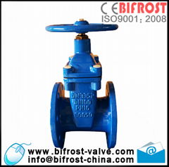 F4 Resilient Ductile Iron Gate Valve DN40-DN300