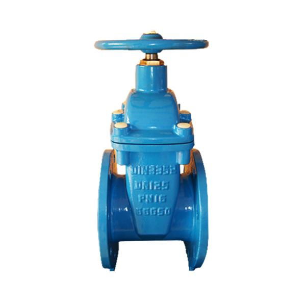 F4 Resilient Ductile Iron Gate Valve DN40-DN300 2