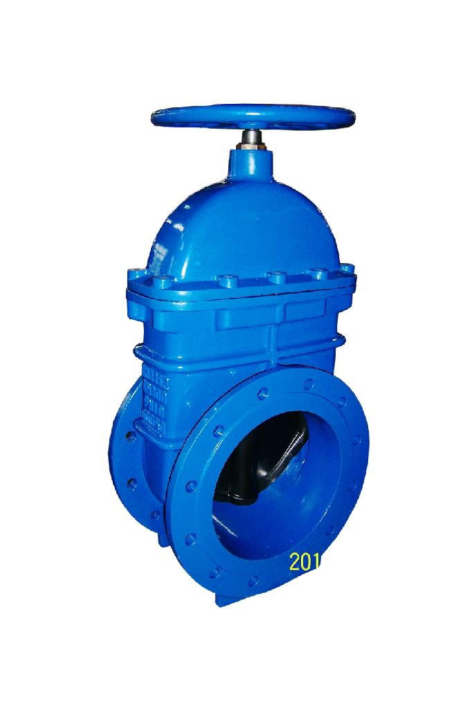 F4 Resilient Ductile Iron Gate Valve DN40-DN300 5